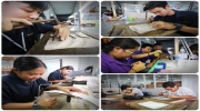 ปลื้มนักศึกษาวิทยาลัยช่างทองหลวงจิตอาสาถวายงานสลักดุนเฟื่องระย้า